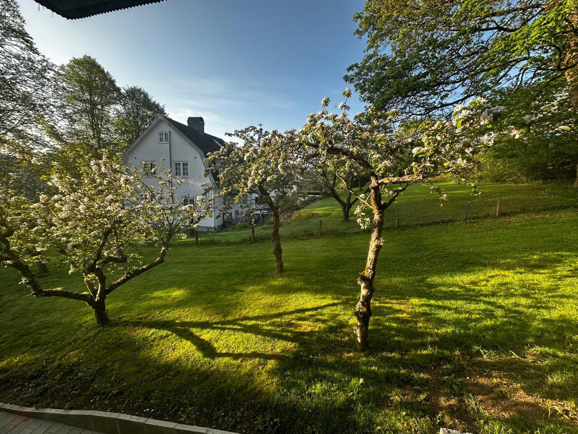Luxury 2 Rooms Residence At The Heart Of Borås Zewnętrze zdjęcie